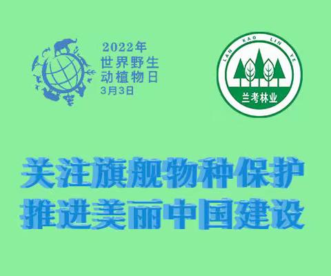兰考县林业中心组织开展2022年“世界野生动植物日”宣传活动