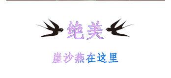 绝美崖沙燕在这里
