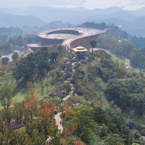 与友登简阳丹景山.文兰草