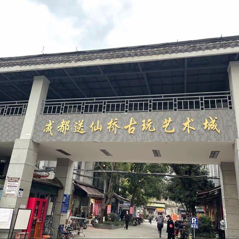 青羊区游.文兰草
