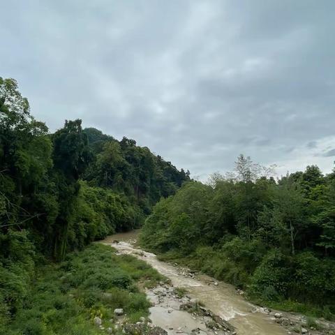 诗四首:游大邑鹤鸣山.文兰草