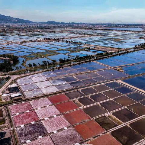 色彩斑斓福建漳浦盐场