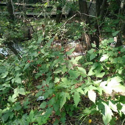 2018年8月4日道须沟一游