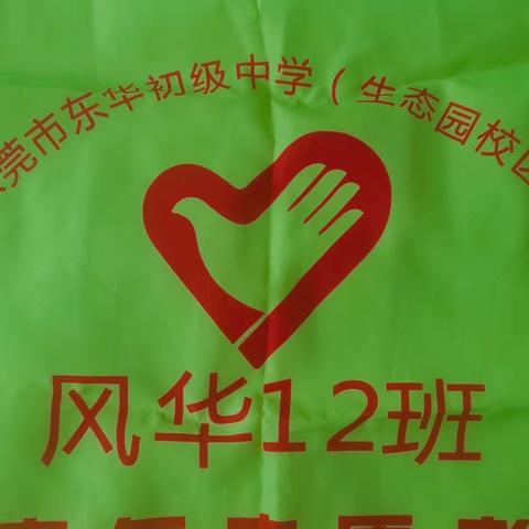 聚点点星光，化璀璨星河 一一东华初级中学风华12班志愿者活动
