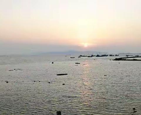 游玩大海的趣闻轶事