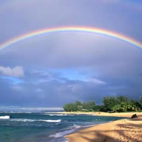 写在最美的日子里