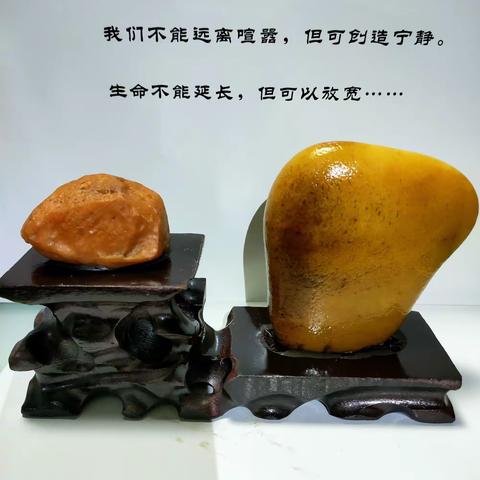 浅谈古今中华玉文化——丁珂