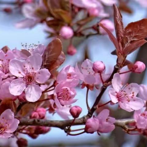 浅谈现代诗的特点与创作技巧