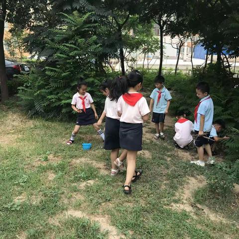 翰林小学一年级2班蝴蝶队之童眼看社区