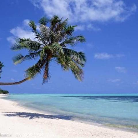 富漫威周末狂欢日