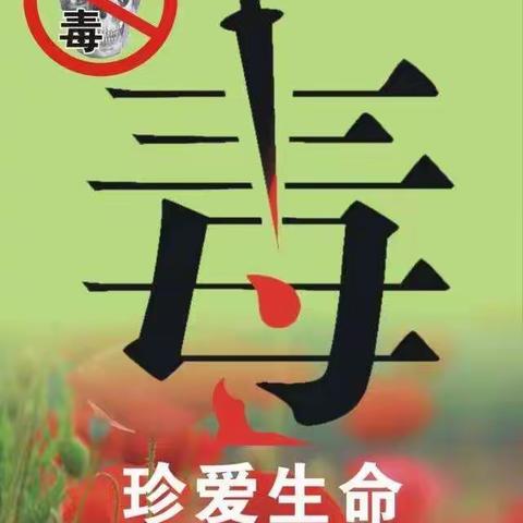 迭部县白云学校禁毒知识宣传