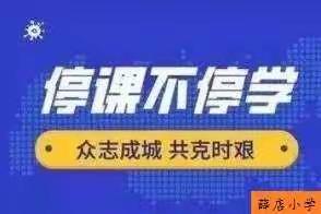 辛安镇薛店小学“停课不停学”工作记录