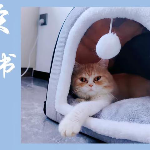 关于读书