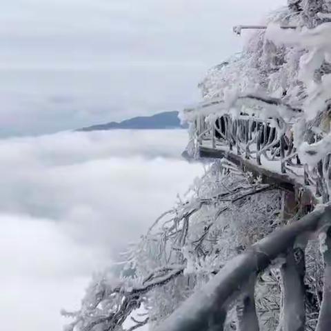 张家界天门山国家森林公园•玻璃栈道•天门洞•大峡谷•张家界国家森林公园•金鞭溪•天子山•袁家界•宝峰