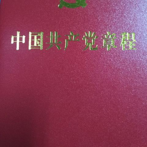 学习遵守党章，争当干事先锋，完成工作任务一一动力分厂开展十二月份"支部主题党日"活动