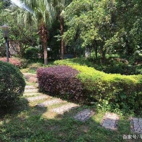 望江花苑7月份物业工作汇报