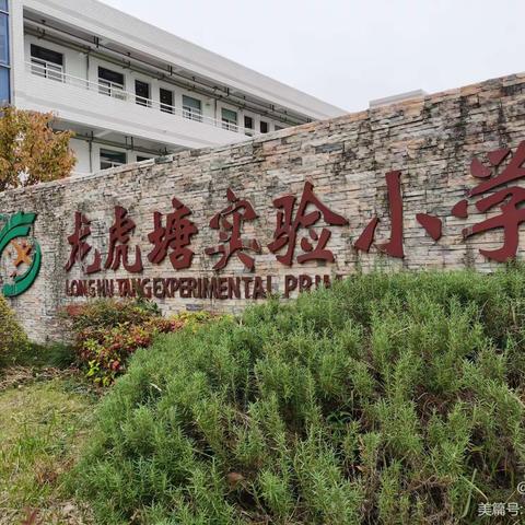 龙虎塘实验小学一（11）班【一路相伴    ，静待花开】