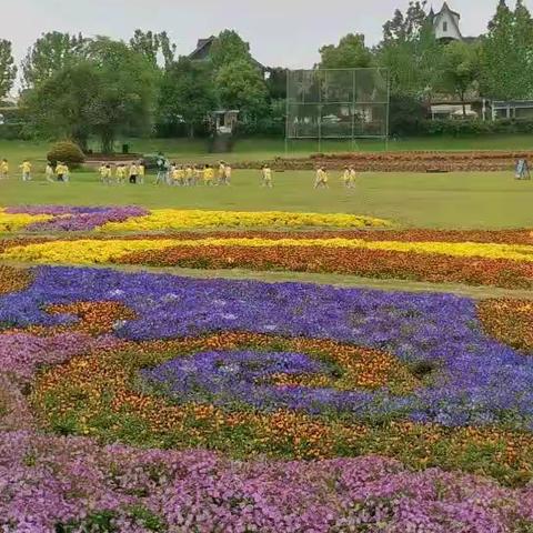 至尊宝贝国际幼儿园大五班“花博汇亲子游”