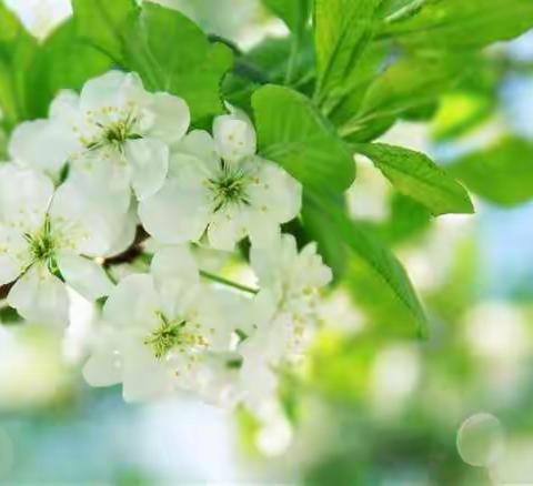 欢迎曹伟院长莅临指导儿二三科早交接班