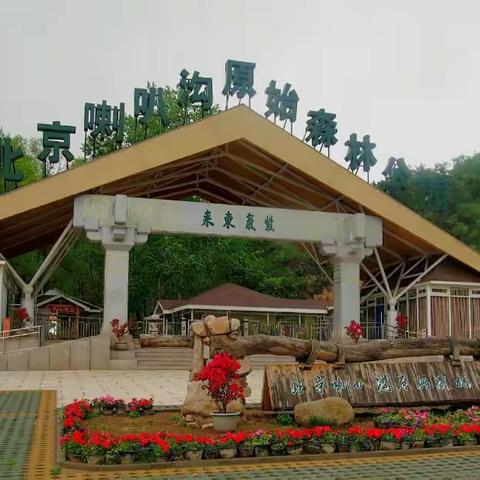 5月14日与几好友冒雨游喇叭沟门全天乘车约8小时徒步60余里。此地的原始之美和雨后的云让我不虚此行。
