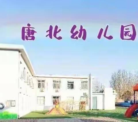 防灾减灾进万家 安全先行靠大家——唐北幼儿园开展全国防灾减灾日宣传教育活动