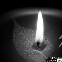 缅怀先烈、寄托哀思、文明祭祀、你我先行