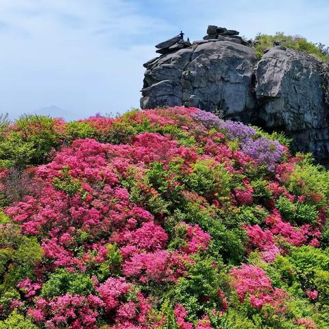 英山蒌子石风光