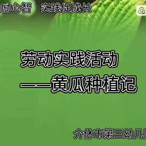 黄瓜种植记