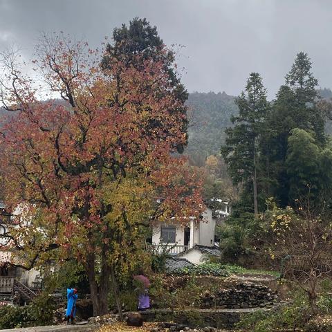 皖南釆风集，一，风雨塔川景