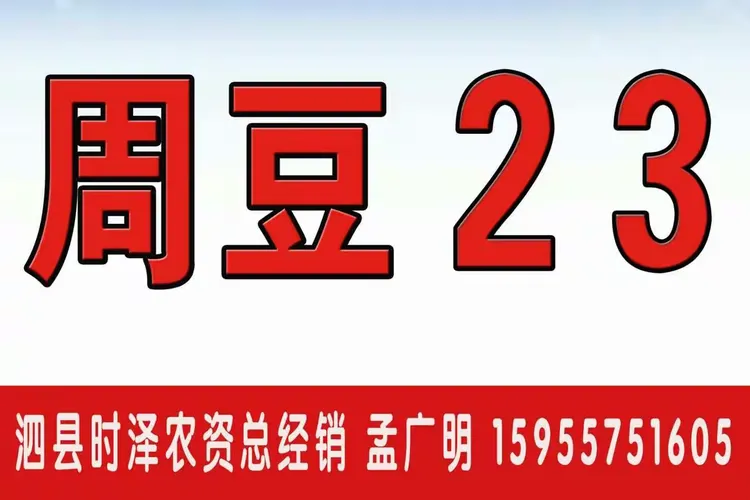 安徽省低保证图片图片