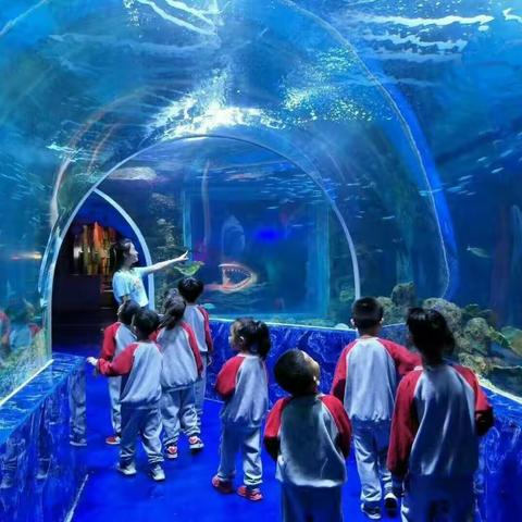 北道德春苗家教中心第一季户外体验