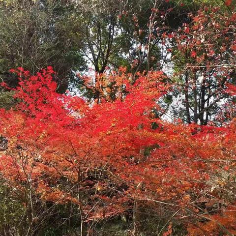 原生态的幸福