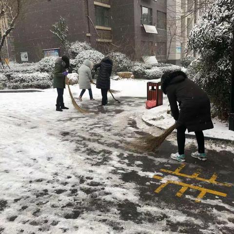 社区扫雪齐动员，严寒白雪暖人心