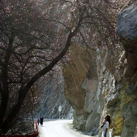 遥远却不孤绝                               ——纪念我的帕米尔之行