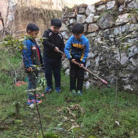 植树节留下我们童年的足迹👣