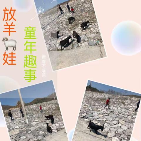 童年趣事周末记——放羊式！