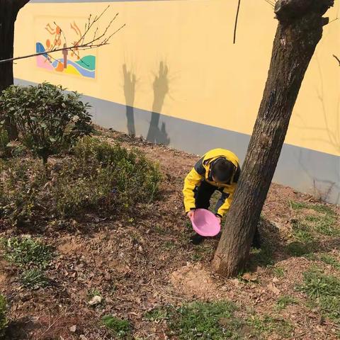 美化校园我行动  爱绿护绿我能行              ——桥南镇烟村小学3.12植树节活动