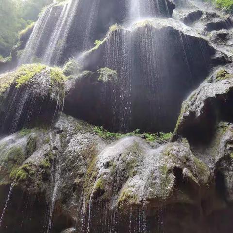 “野”路杂记