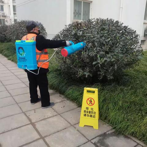 春伊始·绿护忙 | 绿化养护好时节 不负春日好时光～宝石花物业泾欣园项目