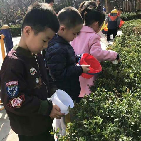 丽水花都幼儿园大二班植树节活动