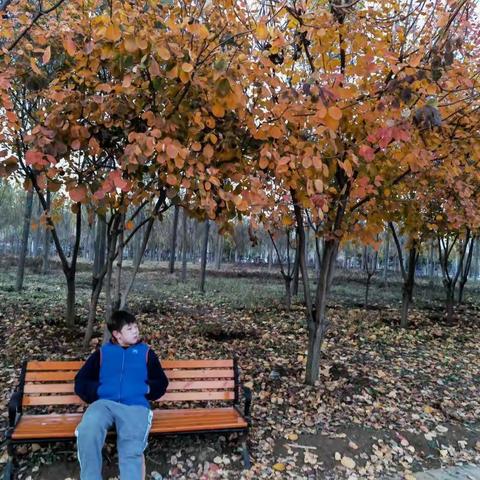 我的北平书法之路