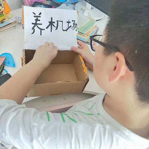 36级12班王润宵“践行活动”：养机场、众厨房、上书房