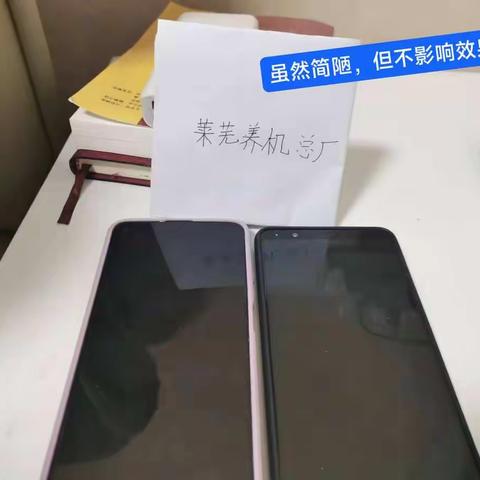 36级12班吕型嘉“践行活动”：养机场、众厨房、上书房