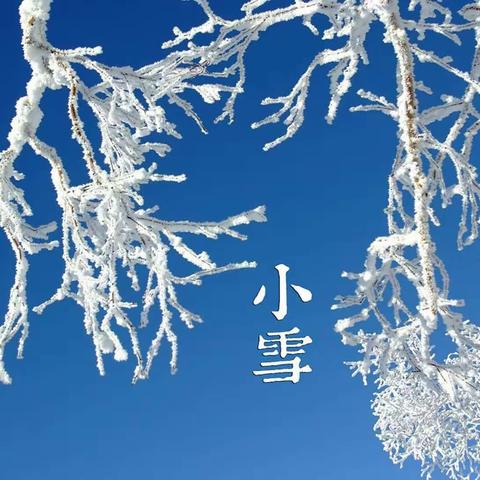 二十四节气——小雪至 雪花飘