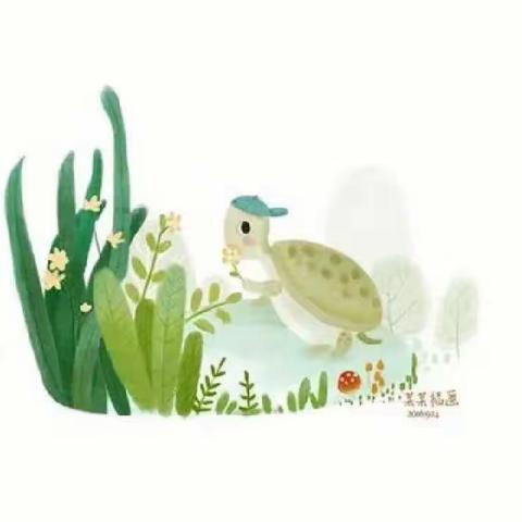 《乌龟孵化记🐢》