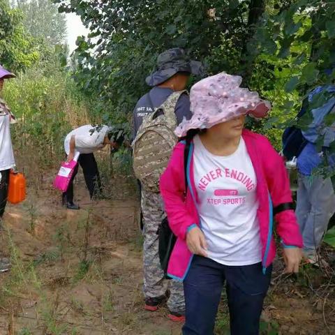 铿锵玫瑰 林间绽放——记汝州市林业局森林资源清查女队员