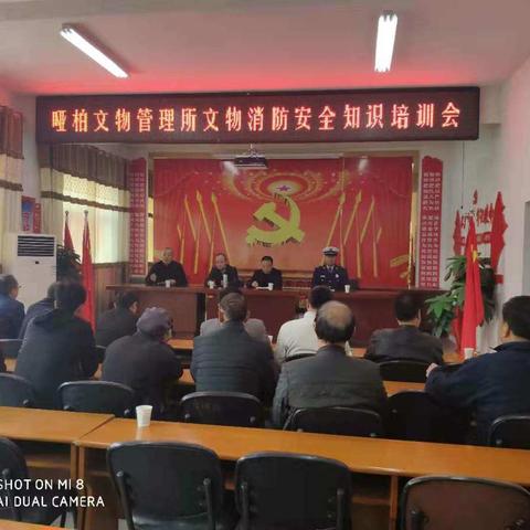 哑柏文物管理所工作动态