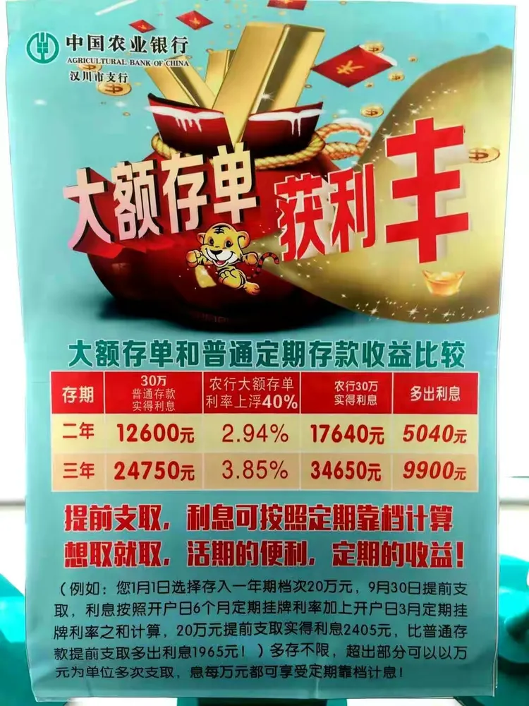 大额存单就是我们大农行的定期存款哦！