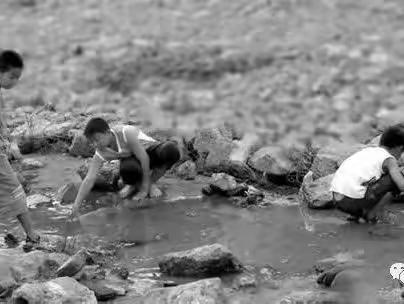 少年趣事之戽鱼