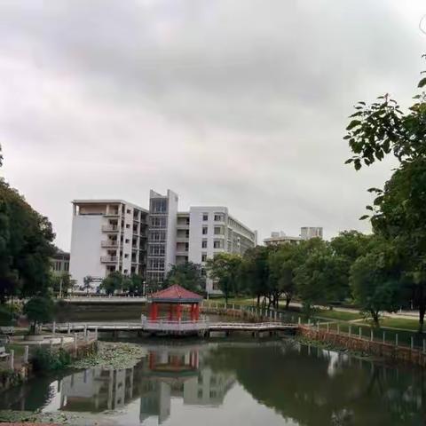 大学生宿舍的键盘声